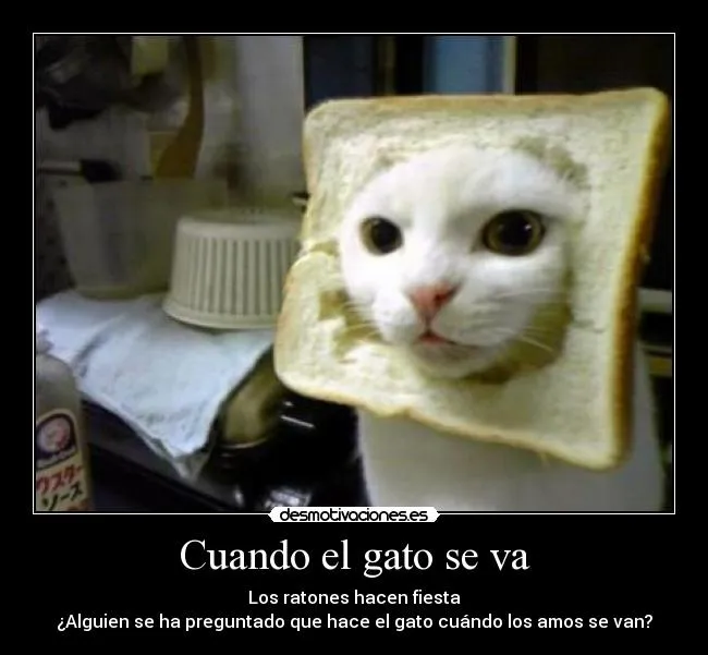 Cuando el gato se va | Desmotivaciones