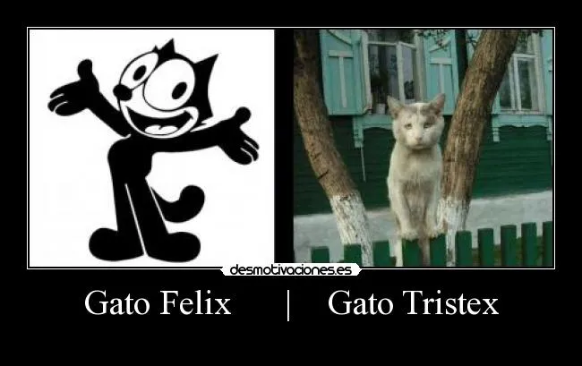 Gato Felix | Gato Tristex | Desmotivaciones