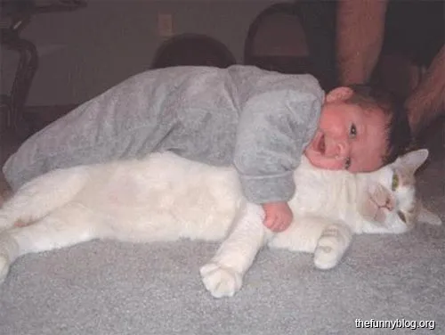 Gato gracioso con bebé feliz están dormiendo… casi