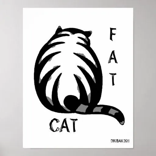 Gato-Gris y negro gordos Posters de Zazzle.