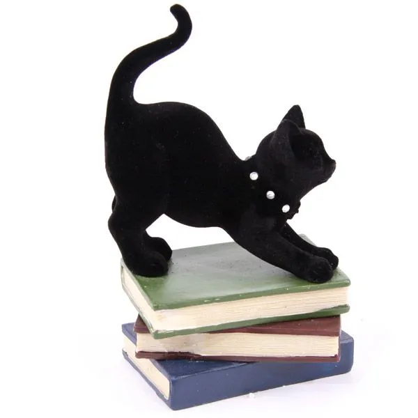 Gato negro encima de los libros de conjuros