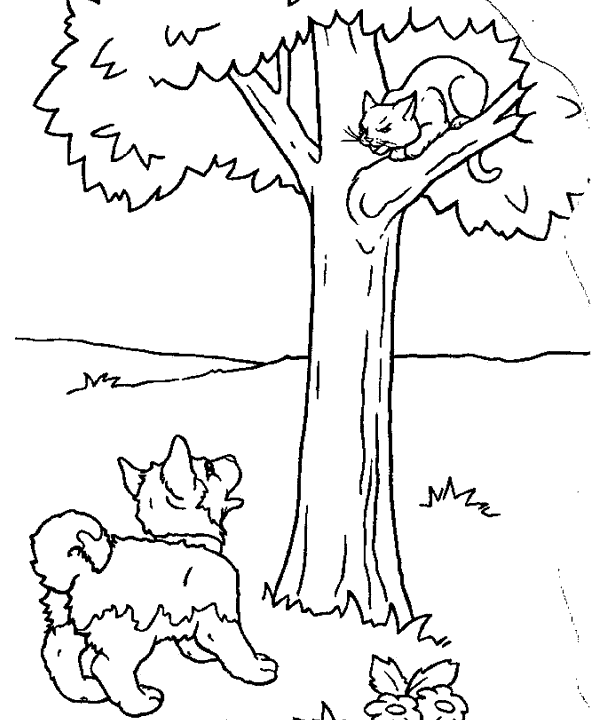 Un perro y un gato para colorear - Imagui