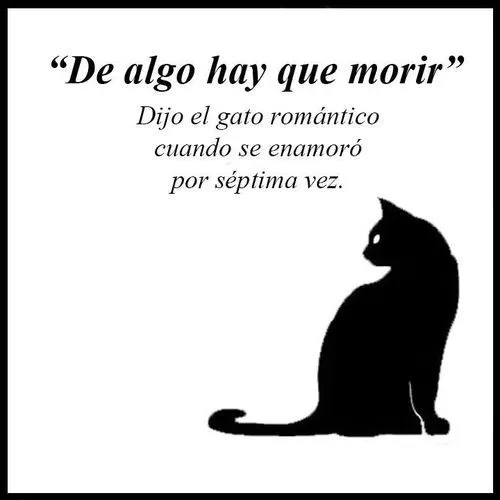 Gato Romántico | Mi propia nube