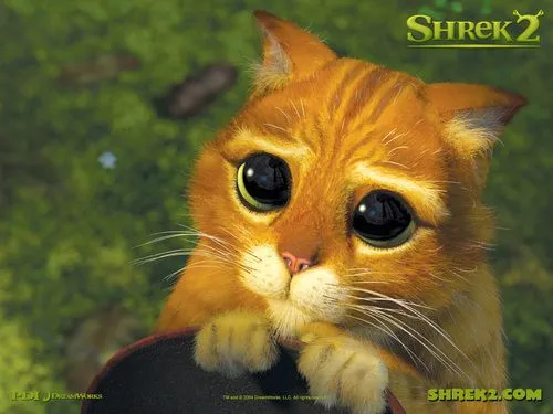 El gato de Shrek - Fotos FormulaTV