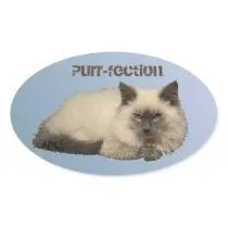 Gato siamés persa calcomania de oval personalizadas por PetArt