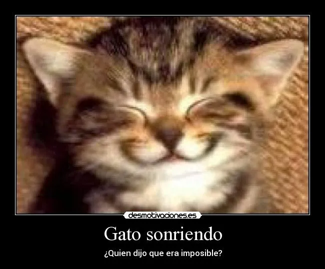 Gato sonriendo | Desmotivaciones