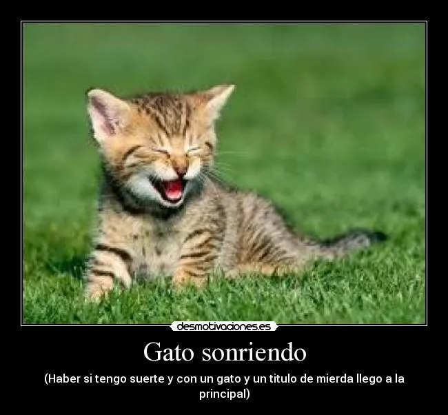 Gato sonriendo | Desmotivaciones