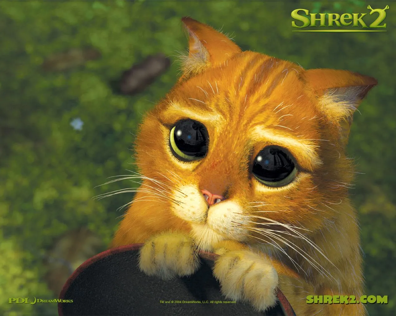 El Gato Mas Tierno de Todos Gato en Shrek - El blog de ...