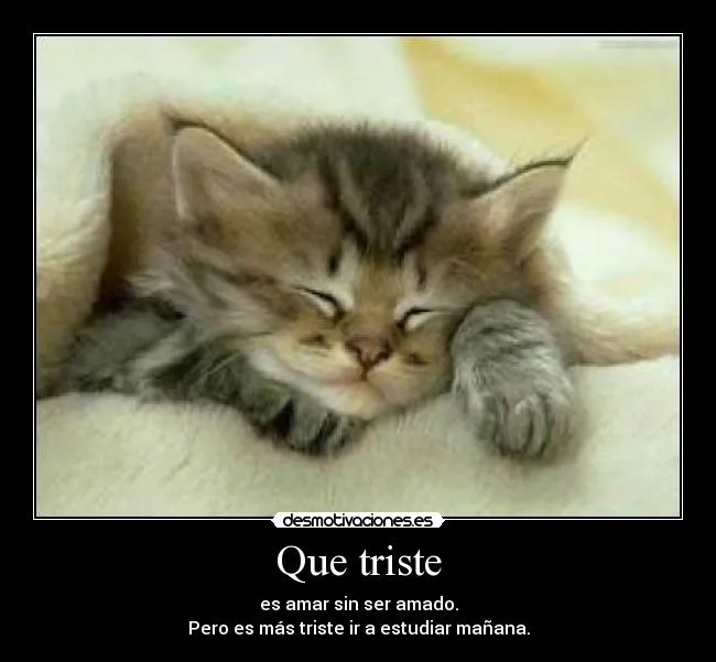 Gato triste - Imagui