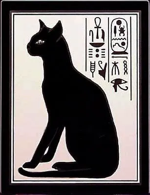 Gatos Bastet | Gatos