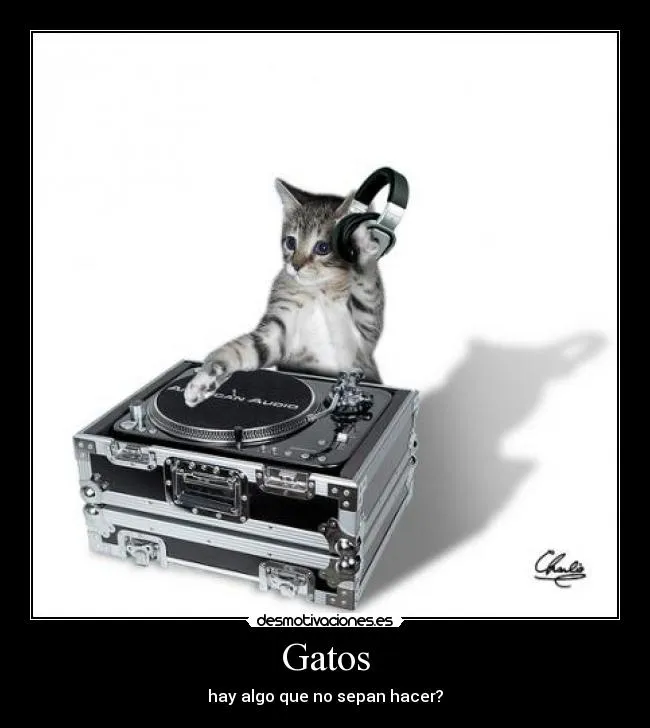 Gatos | Desmotivaciones