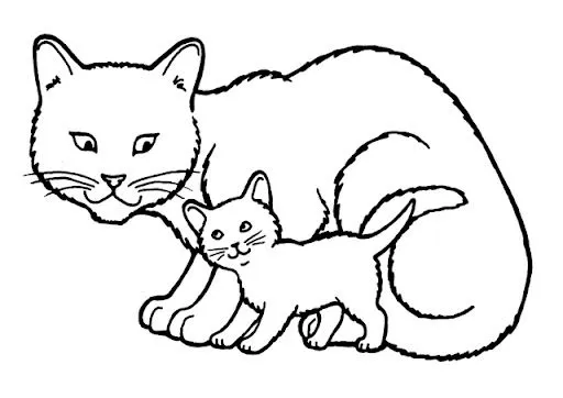 GATOS DIBUJOS PARA COLOREAR | Dibujos para colorear