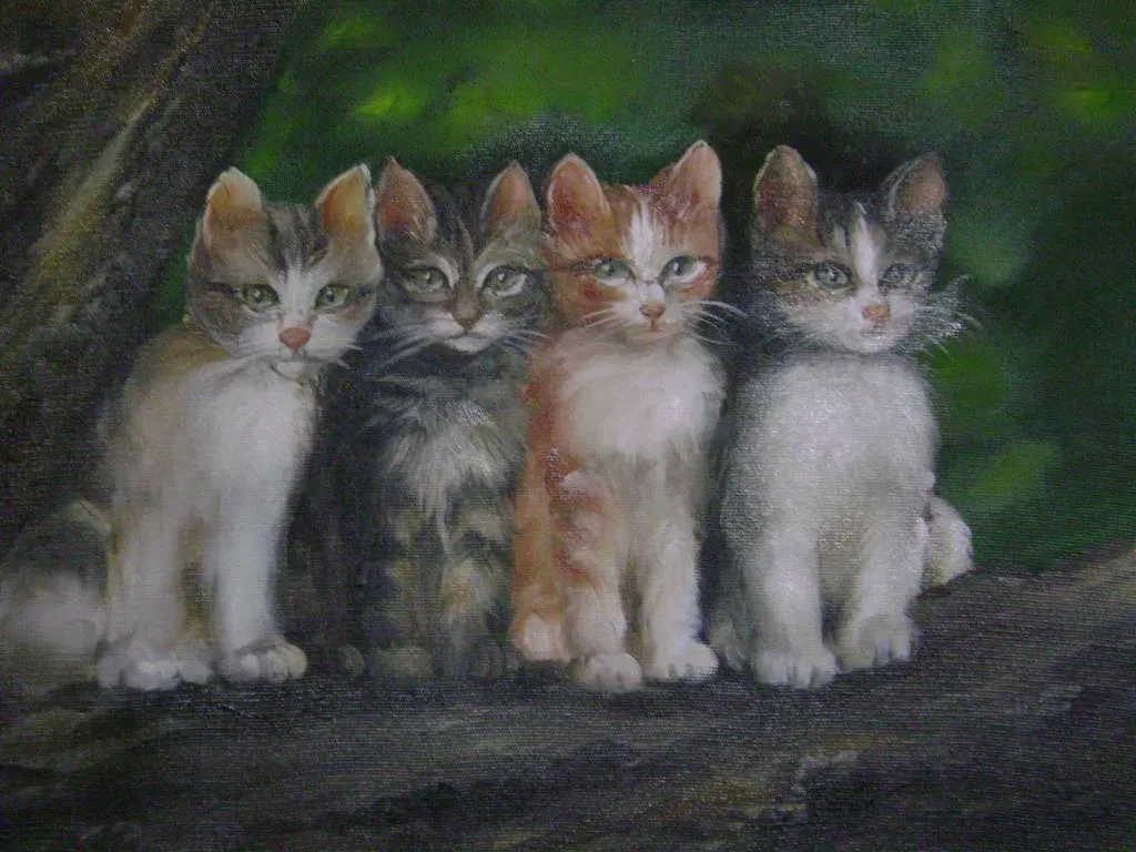 gatos Marcelle Alves - Artelista.