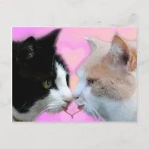 Gatos pareja de enamorados tarjeta postal por TinaDeFortunata