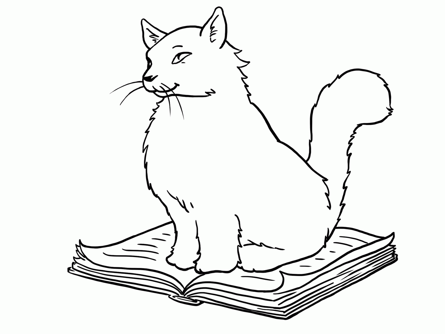 Dibujos para colorear de gatos. MundoGatos.com