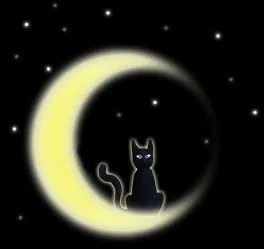 gatos_negros