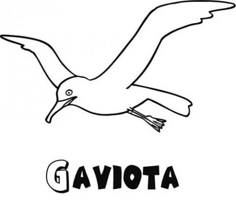 Gaviota para colorear e imprimir - Imagui