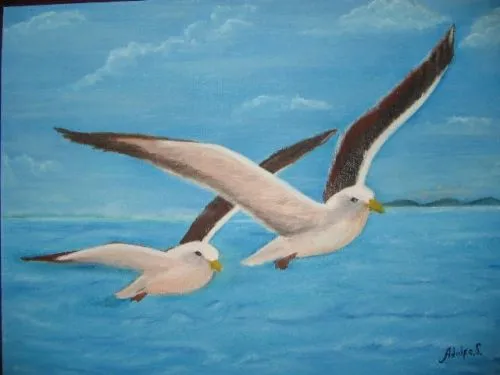 Gaviotas dibujo - Imagui