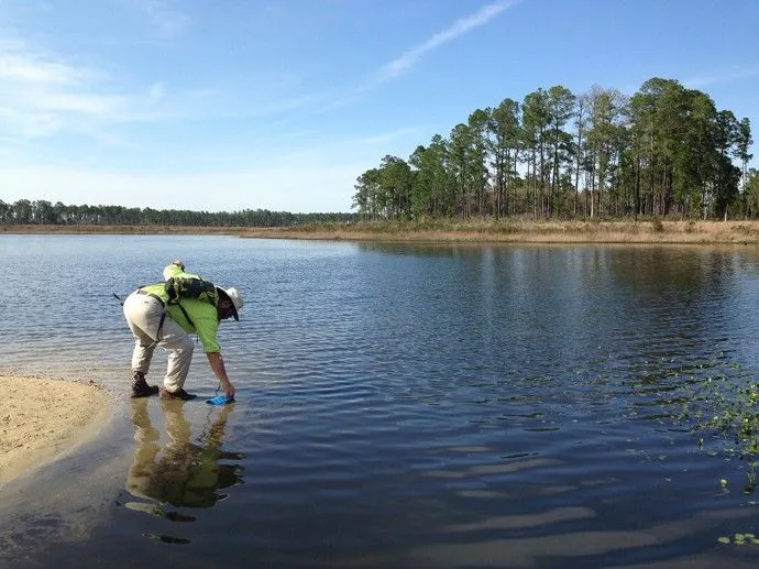 Gear Review: Sawyer Mini Water Filter | Florida Hikes!