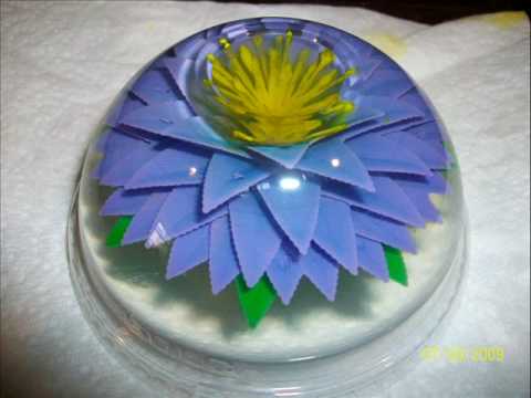 Gelatina inyectada - Imagui