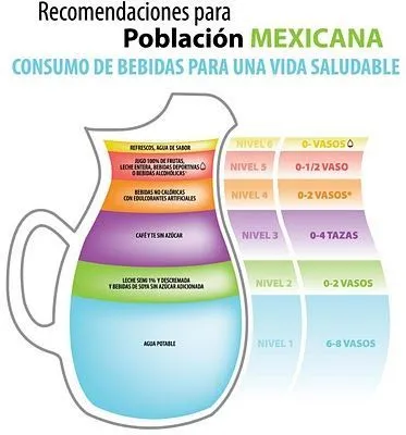 GeneraciónNutrición.com: La Jarra del Buen Beber | Comida | Pinterest