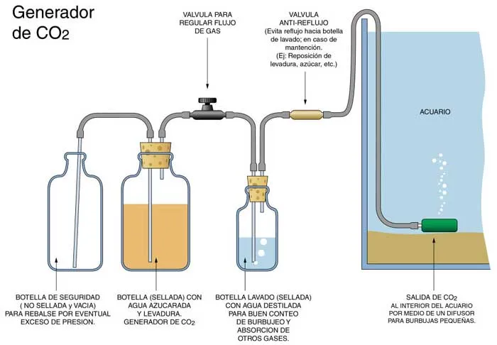 Como hacer generador CO2 casero para acuarios - Ikkaro