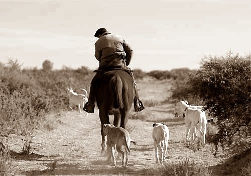 Gente de Campo