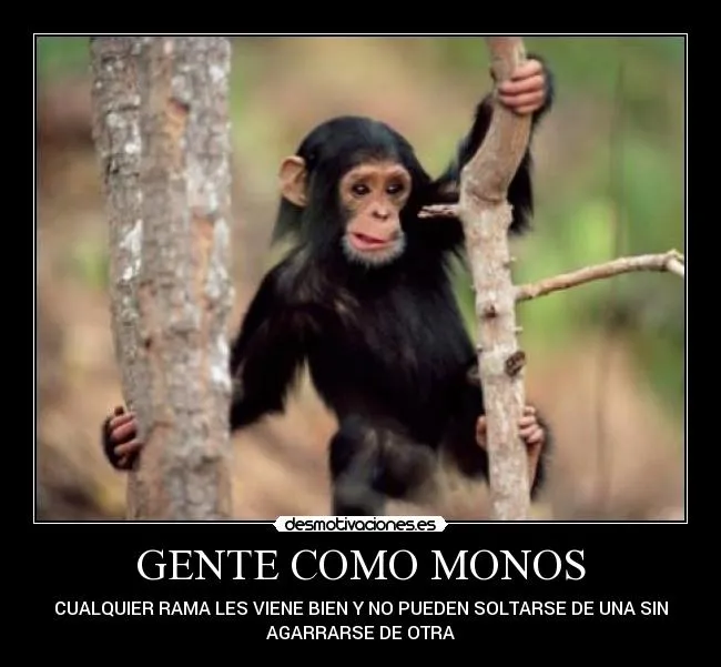 GENTE COMO MONOS | Desmotivaciones