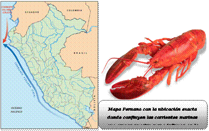 La geografía del Perú - Monografias.