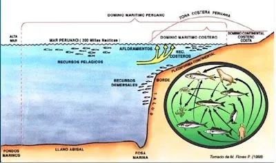 GEOGRÁFICO: El Mar Peruano y su importancia geopolìtica