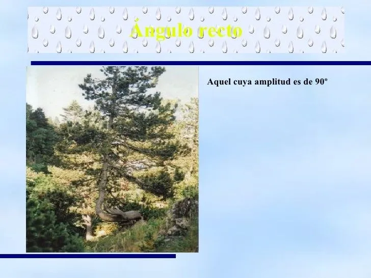 geometra-a-nuestro-alrededor-3 ...