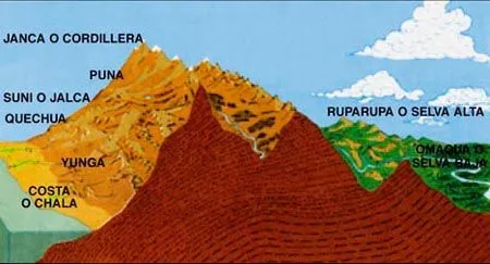 GEOMUNDO: LAS OCHO REGIONES NATURALES