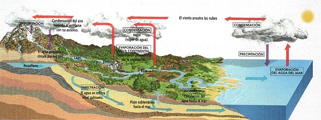 Las geosferas terrestres y el balance hidrológico terrestre ...