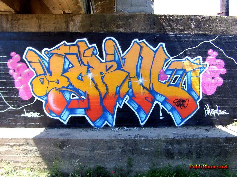 Gerardo J. V.G: TIPOS DE GRAFFITIS