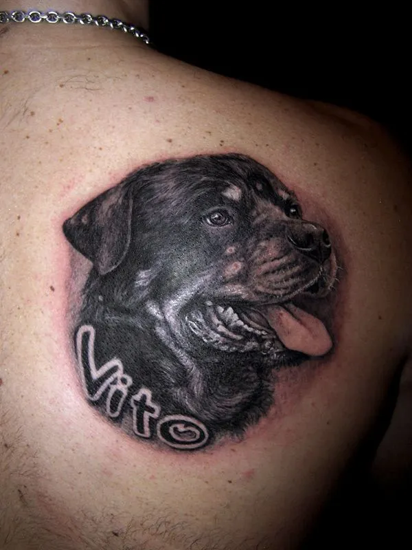 German Rottweiler Tattoos | Cool Eyecatching tatoos