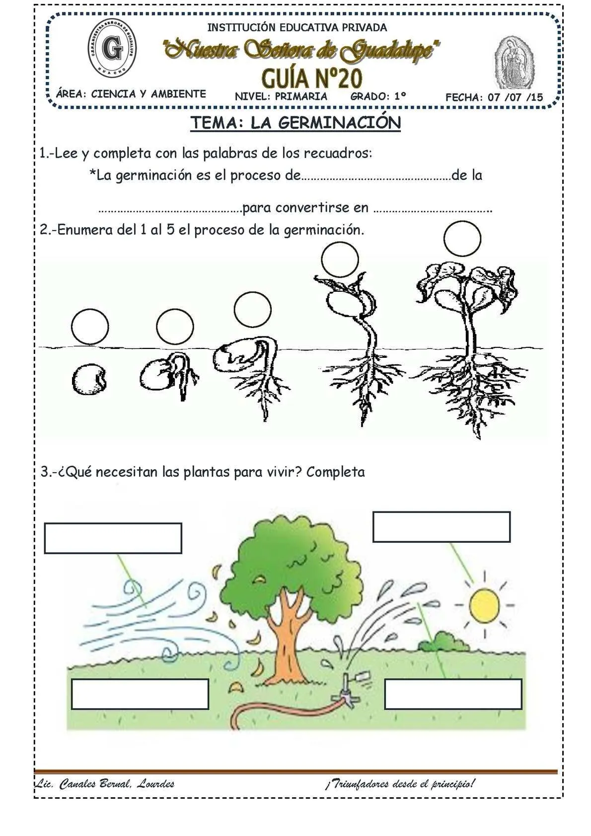 La Germinación | Actividades, Lectura comprensiva, Germinacion