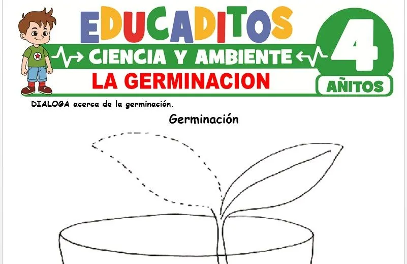 La Germinación para Niños de 4 Años » Educaditos.com