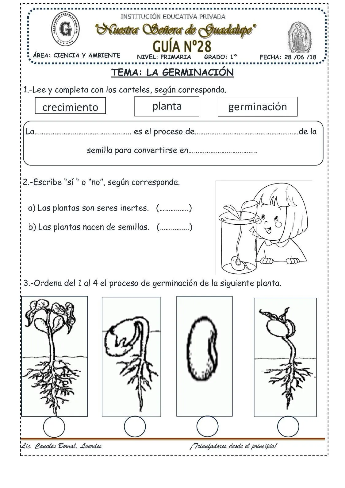 La Germinación(28) | Germinacion, Educación de valores, Partes de la planta