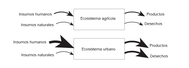 Gerry Marten | Ecología Humana: Conceptos Básicos para el ...