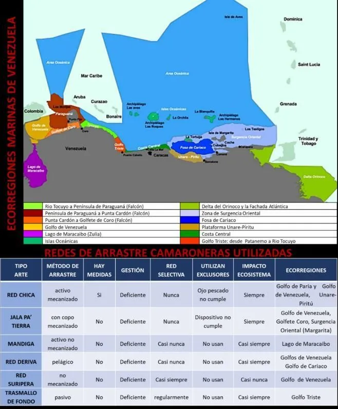 GESTIÓN DE LA PESCA DE ARRASTRE ARTESANAL CAMARONERA EN LAS ECORREGIONES  VENEZOLANAS BAJO ENFOQUE EC - Issuu