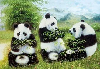 Giant panda eat bamboo - 3D Animal Wall Decor Picture-3D Decorative ...