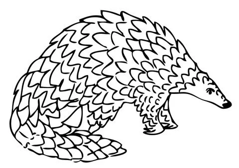 Giant Pangolin Coloring page | Free Printable Coloring Pages