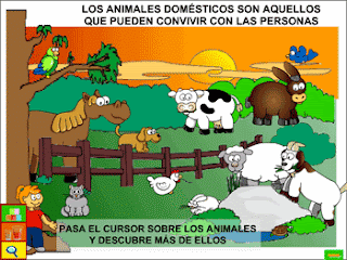 caja de sorpresas: LOS ANIMALES