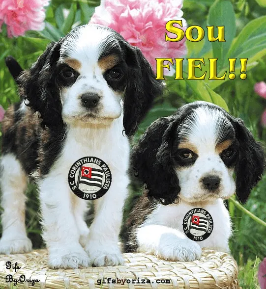 Gifs do Corinthians!! Sou Corintiano, sou Fiel!! Mensagens e Gifs ...