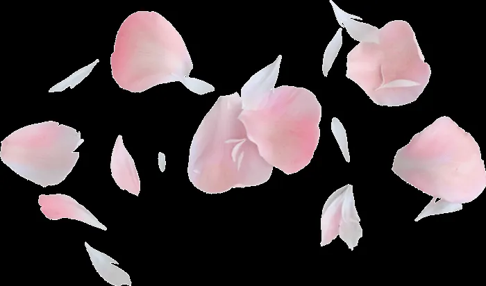 Gifs y Fondos PazenlaTormenta: FLORES - PÉTALOS DE FLORES