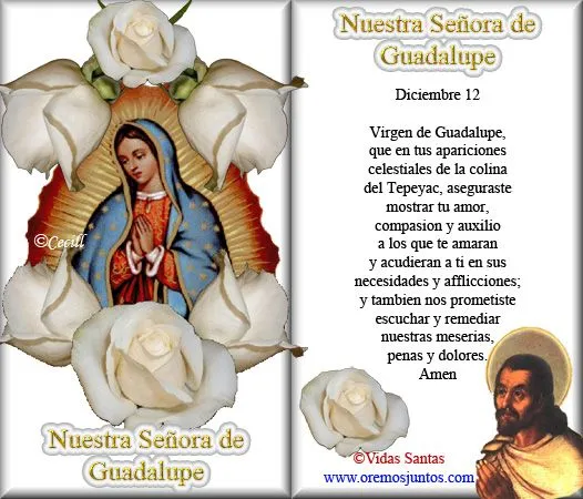 Gifs de oraciones: Oraciones a la Virgen de Guadalupe