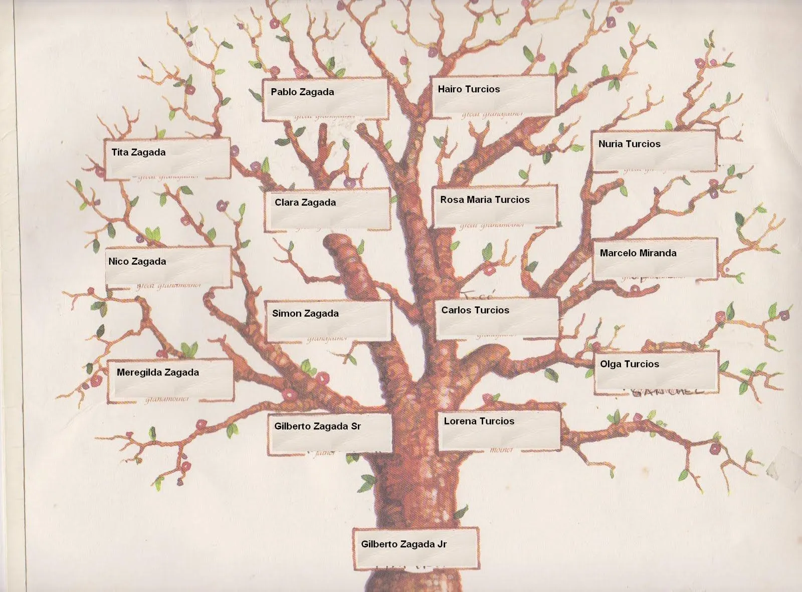 Gilberto L. Zagada: Arbol de mi Familia