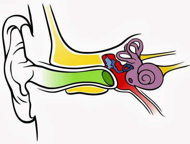 Usa GIMP: Dibujar flechas