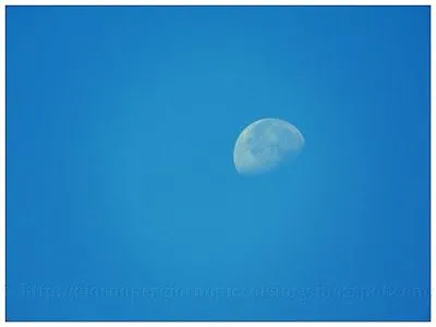 Giorno per giorno: In un cielo azzurro d'