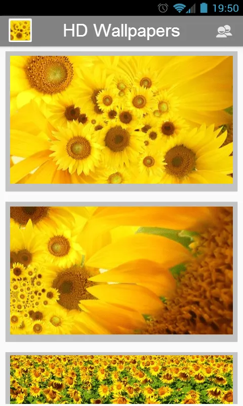 Girasoles HD Wallpapers - Aplicaciones de Android en Google Play